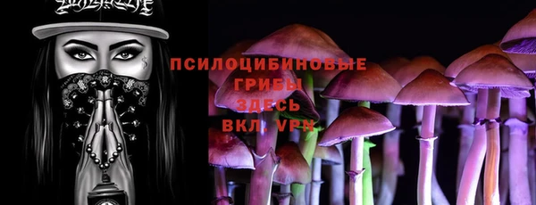 дмт Володарск