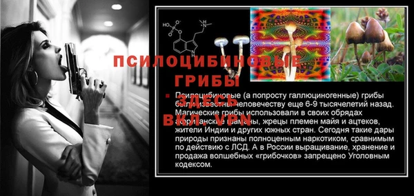 2c-b Верхнеуральск